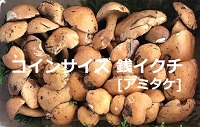 �A�~�^�P�摜