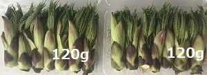 120g���n���M���̉�