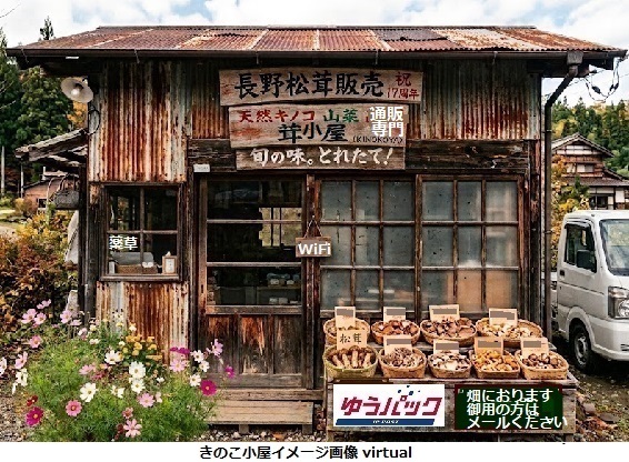 イメージきのこ小屋画像
