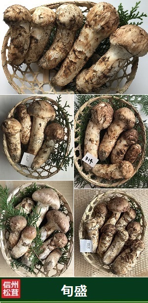 ����300g�̉摜