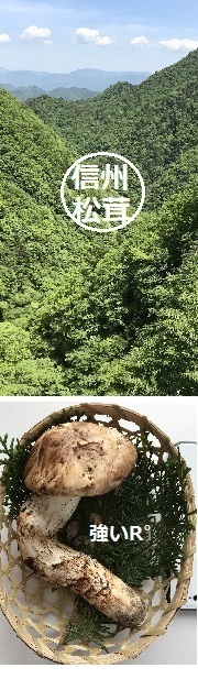�R�̒��ɂ���V���Ə����̂�̉摜